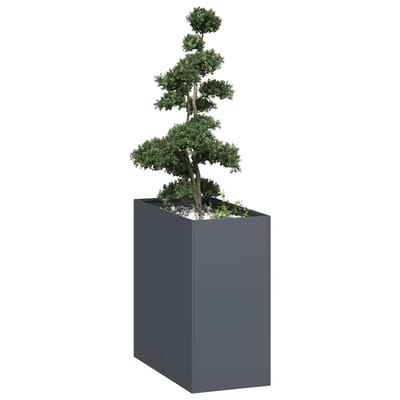 vidaXL - Plantenbak - 40x80x80 - cm - staal - antracietkleurig