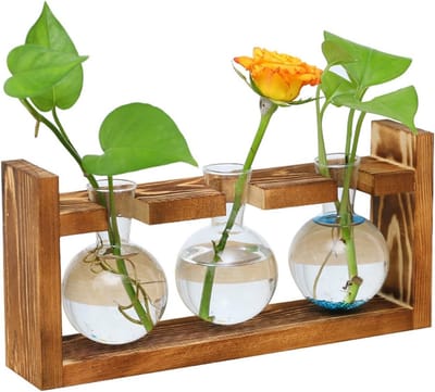 Planten propagatiestation met houten standaard voor thuis, kantoor en vensterbank - Perfecte decoratie en cadeau voor plantenliefhebbers