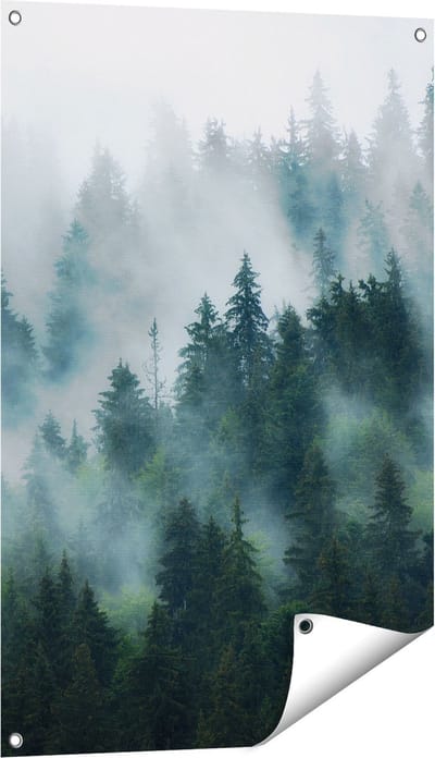 Gards Tuinposter Bos met Bomen in de Mist - 60x90 cm - Tuindoek - Tuindecoratie - Wanddecoratie buiten - Tuinschilderij