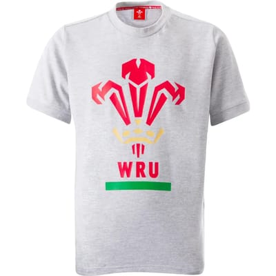 Katoenen T-shirt Pays de Galles Rugby XV