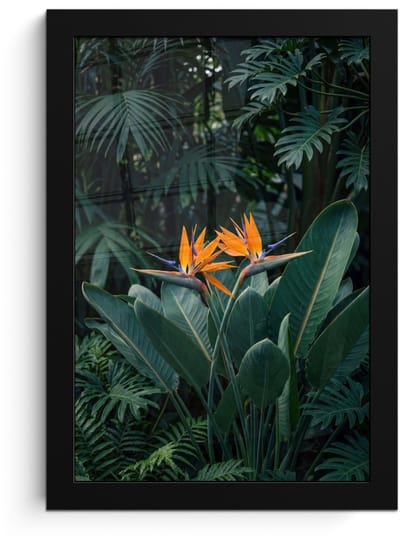 Poster in lijst - Fotolijst 20x30 cm - Posters - Paradijsvogel - Bloem - Exotisch - Posterlijst zwart - Decoratie - Wanddecoratie woonkamer - Muurdecoratie slaapkamer
