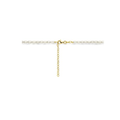 Collier 3,8 Mm 40 + 5 Cm