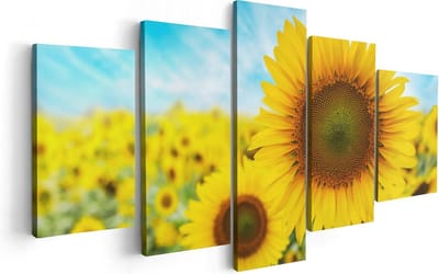 Artaza Canvas Schilderij Vijfluik Zonnebloemen Veld  - 100x50 - Foto Op Canvas - Canvas Print
