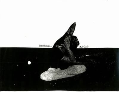 U.S. Girls - Introducing (LP)