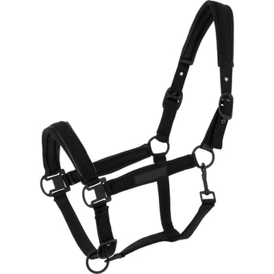Halster voor paarden Equithème Pearl