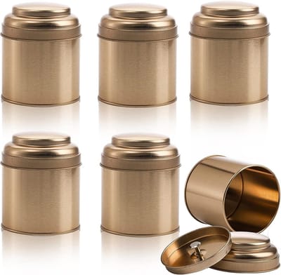 longziming -6 Stuks Theebussen – Mini Theeopslagcontainers – Luchtdichte Afsluiting – Duurzaam Materiaal – Compact Formaat – Geschikt voor Thee & Kruiden