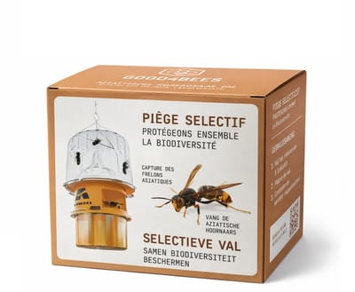 Selectieve Aziatische hoornaar val – herbruikbaar en insecticidevrij