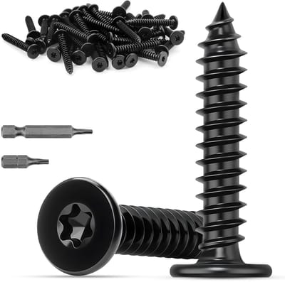 Dailygoods - M3 x 16 mm houtschroeven roestvrij staal 120 stuks zelftappende torx-schroeven, zwart roestvrijstalen schroeven, hout platte kopschroeven, torx-plaatschroeven