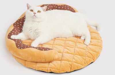 FOFOS Donut Kussen Sprinkles – Hondenkussen & Kattenkussen – Ø62 x 10,5 cm – Zacht & Comfortabel
