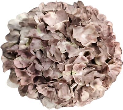 Kunst hortensia tak bruin 92 cm Buitengewoon de Boet