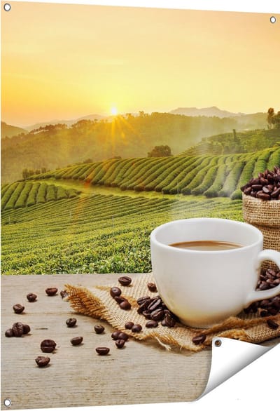 Gards Tuinposter Kopje Koffie op een Plantage Achtergrond6 - 80x100 cm - Tuindoek - Tuindecoratie - Wanddecoratie buiten - Tuinschilderij