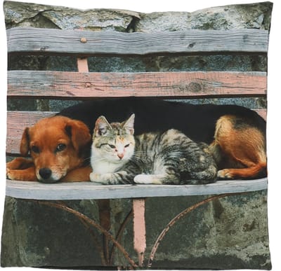 Buitenkussen boerderij kat & hond L 50 cm x 50 cm - tuinkussen - buitenkussen - outdoorkussen - waterafstotend - boerderijprint - cadeau - geschenk - Nieuwjaar - Kerst - verjaardag