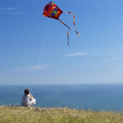 Dailygoods- Vlieger 2 Stuks - Regenboogvlieger - Kleurrijke Zakvlieger - Lange Staart - Strandspel Buitenactiviteiten - Geschikt voor Kinderen en Volwassenen - Vliegerspel