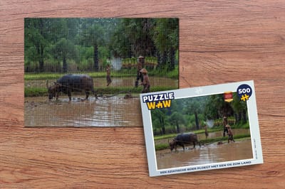 Puzzel Een Aziatische boer ploegt met een os zijn land - Legpuzzel - Puzzel 500 stukjes
