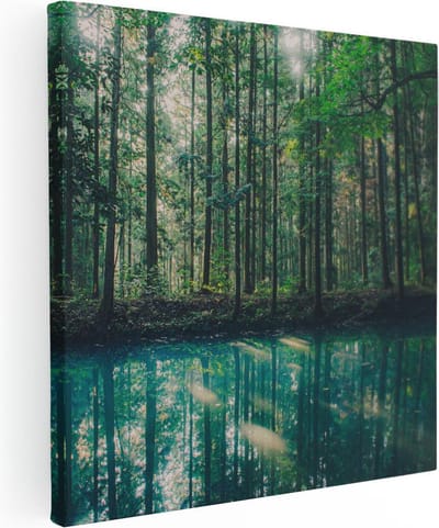 Artaza Canvas Schilderij Bos - 80x80 cm - Wanddecoratie Natuur - Muurdecoratie Bomen - Schilderijen Op Canvas Landschap