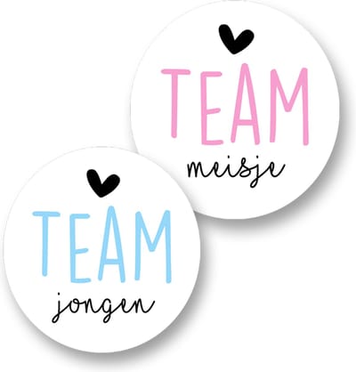 24xGender reveal Stickers - Team Jongen- Team Meisje - Sluitstickers Pimp Studio