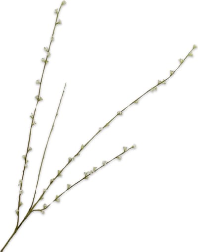 Silk-ka Kunstbloem-Zijden Bloemen Spirea Tak Wit 121 cm