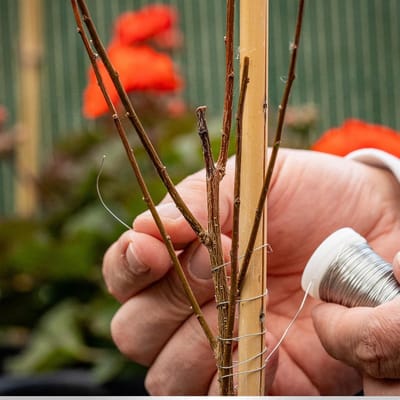 3 Rollen Gegloeid Ijzerdraad Zilver 100 Meter - Kniptol en Bloemenbinddraad