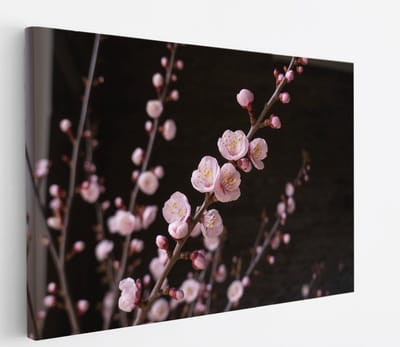 Saammp Canvas Schilderij - Roze bloesem aan tak - bloemen - 45x30 - Foto op canvas - Wanddecoratie - Muurdecoratie Woonkamer - Kantoor Decoratie