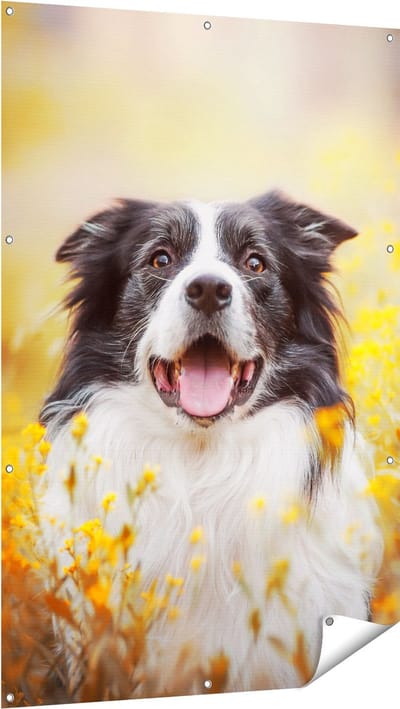 Gards Tuinposter Blije Hond tussen de Bloemen - 100x150 cm - Tuindoek - Tuindecoratie - Wanddecoratie buiten - Tuinschilderij