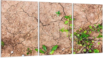 TMK ArtDeko Serie - Beschermplaat van Glas - 3x30x52 cm - Voor Kookplaat - Veelzijdig