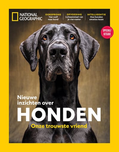 National Geographic Special: Nieuwe inzichten over honden