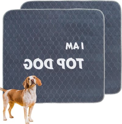 Herbruikbare wasbare puppy trainingspads - 90 x 80 cm - 2 stuks waterdichte hondenplasmatten - super absorberend en sneldrogend - antislip - voor thuis vloer en auto - reizen
