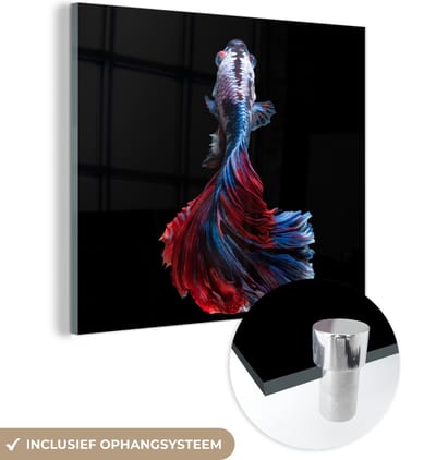 MuchoWow® Glasschilderij 50x50 cm - Schilderij acrylglas - Vis - Staart - Zwart - Foto op glas - Schilderijen
