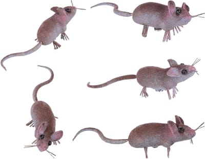 Nep ratten - Nep muizen - Decoratie en grappen - Realistisch ontwerp - 5 stuks - Assorti