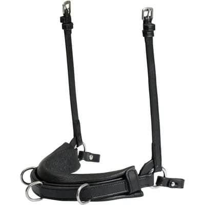 Paardenbox Catago Gentle