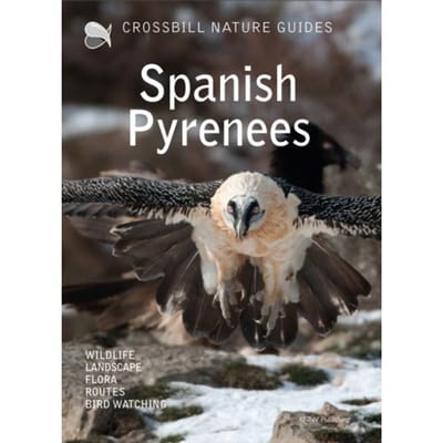 Crossbill Nature Guide Spanish Pyrenees - Crossbill Guides - Dirk Hilbers