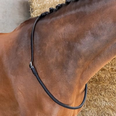 Nektouw voor paarden Harry's Horse Balancer