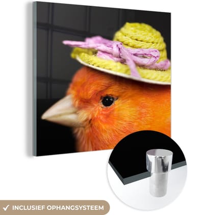 MuchoWow® Glasschilderij 50x50 cm - Schilderij acrylglas - Vogel - Hoed - Oranje - Foto op glas - Schilderijen