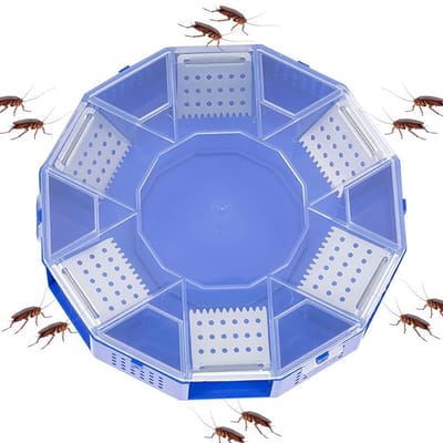 Dailygoods- Kakkerlakkenval Herbruikbaar - Ongediertebestrijding - Niet Giftig - Milieuvriendelijk - Insectenvanger - 14x14x2,5 cm