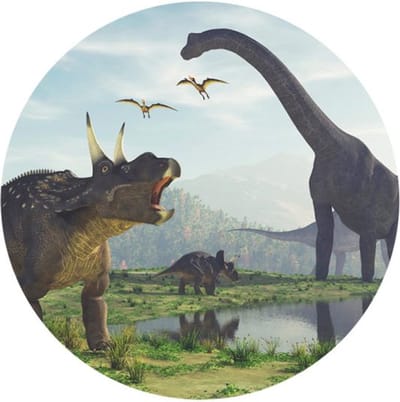Dino muursticker 60 cm - Muurcirkel / Behangcirkel - Muurdecoratie Kinderkamer