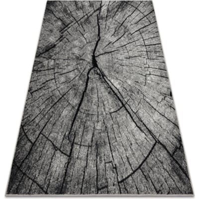 Kleden Rugsx Tapijt SILVER TRONKO Boomstam, boom - grijskleurin 240x340 cm