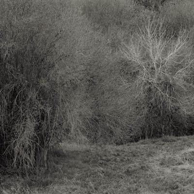 K. Leimer - Atrophies For Piano (LP)