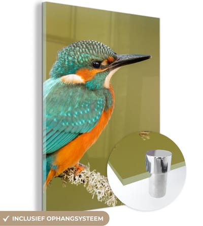 MuchoWow® Glasschilderij 30x40 cm - Schilderij acrylglas - IJsvogel - Dieren - Vogel - Foto op glas - Schilderijen
