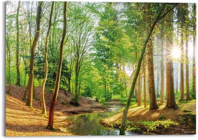 Schilderij Zonnig bos - 100 x 140 - Hout - REINDERS