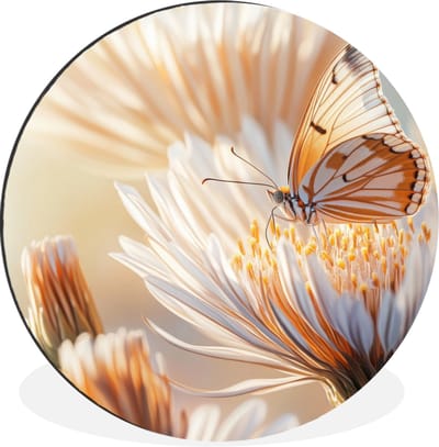 WallCircle - Wandcirkel - Muurcirkel - Vlinder - Bloem - Oranje - Aluminium - Dibond - 30x30 cm - Binnen en Buiten