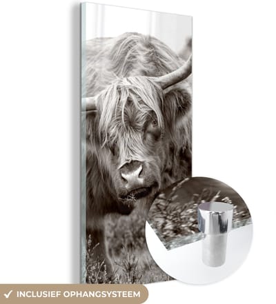 MuchoWow® Glasschilderij 20x40 cm - Schilderij acrylglas - Schotse Hooglander - Zwart - Wit - Hoorns - Foto op glas - Schilderijen