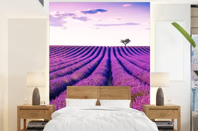 Behang - Fotobehang Lavendel - Bomen - Paars - Bloemen - Breedte 190 cm x hoogte 260 cm