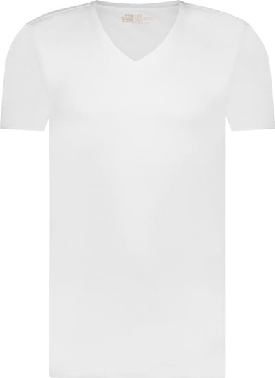 Ten Cate Basics organic cotton stretch t-shirt v-hals wit 2-pack voor Heren | Maat S