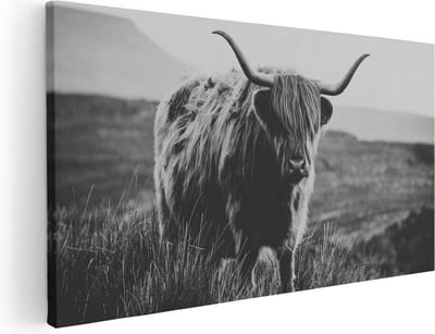 Artaza Canvas Schilderij Schotse Hooglander - 40x20 cm - Klein - Wanddecoratie Woonkamer - Muurdecoratie Dieren - Schilderijen Op Canvas