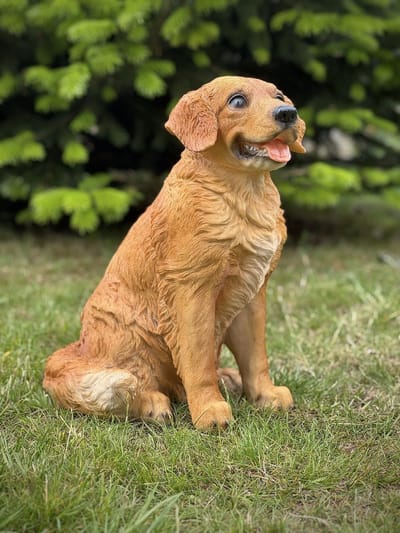Golden Retriever zittend 36 cm hoog - hond - polyester - polystone - beeld - tuinbeeld - hoogkwalitatieve kunststof - decoratiefiguur - interieur - accessoire - voor buiten - cadeau - geschenk - kerst - nieuwjaar