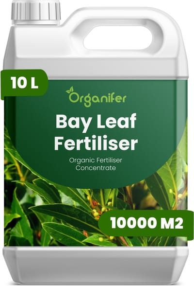 Vloeibare Meststof Voor Laurierblad 10 L Voor 10000 M2 - Npk 3-4-3 - Аromatisch Blad - Gelijkmatige Bladproductie - Sterke Wortelontwikkeling - Hittebestendig - Droogtebestendig - Plantvitaliteit - Herstel Na Snoei - Organifer