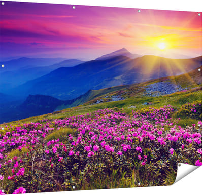 Gards Tuinposter Roze Rhododendron Bloemenveld - Bergen - 150x120 cm - Tuindoek - Tuindecoratie - Wanddecoratie buiten - Tuinschilderij