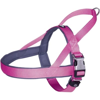 Noors tuig voor honden Nobby Pet Classic Preno Royal