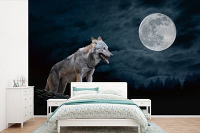 Behang - Fotobehang Wolf - Maan - Nacht - Dieren - Portret - Breedte 525 cm x hoogte 350 cm