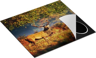 Chefcare Inductie Beschermer Hert onder een Boom in de Weide - 60x50 cm - Afdekplaat Inductie - Kookplaat Beschermer - Inductie Mat